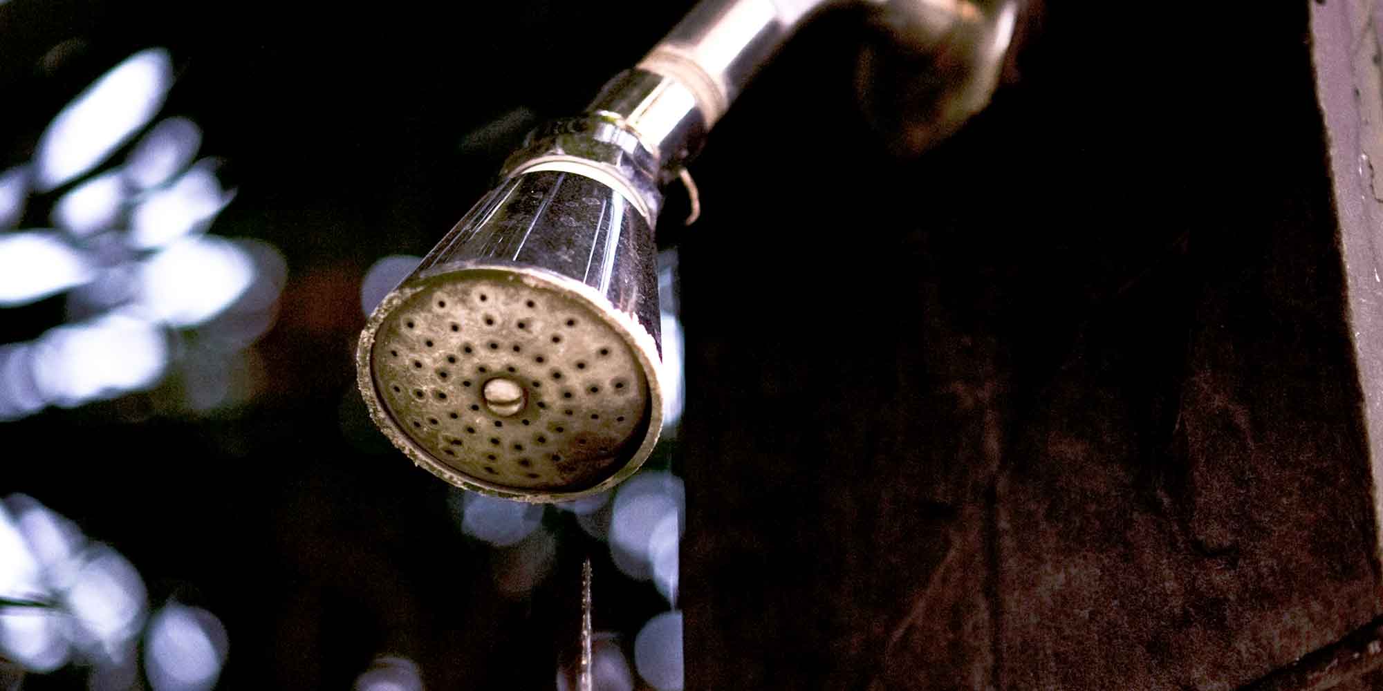 Why Showers Leak and How To Repair Them Shower Dr Sunshine Coast