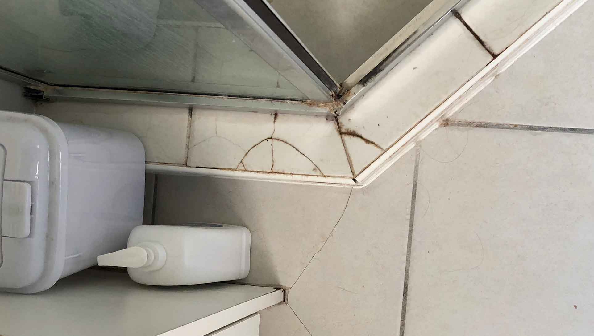Help! My shower is leaking and I’m not sure why… The Shower Dr