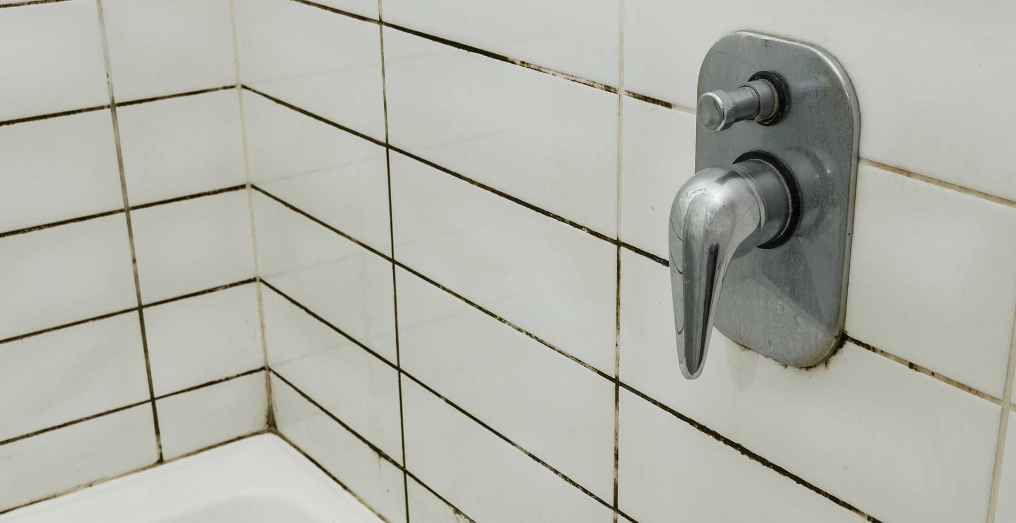 Mould Treatment For Showers and Bathrooms The Shower Dr Brisbane